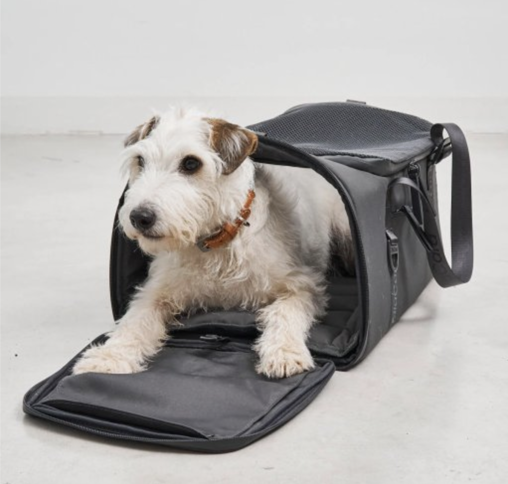 Cestovní taška pro psy MiaCara Volata Air Travel antracit
