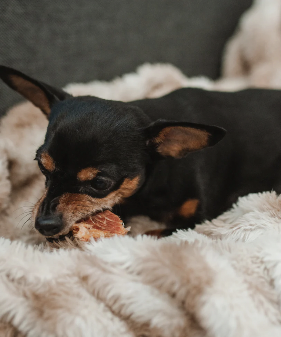 Masíčka vepřový jazyk Čumák