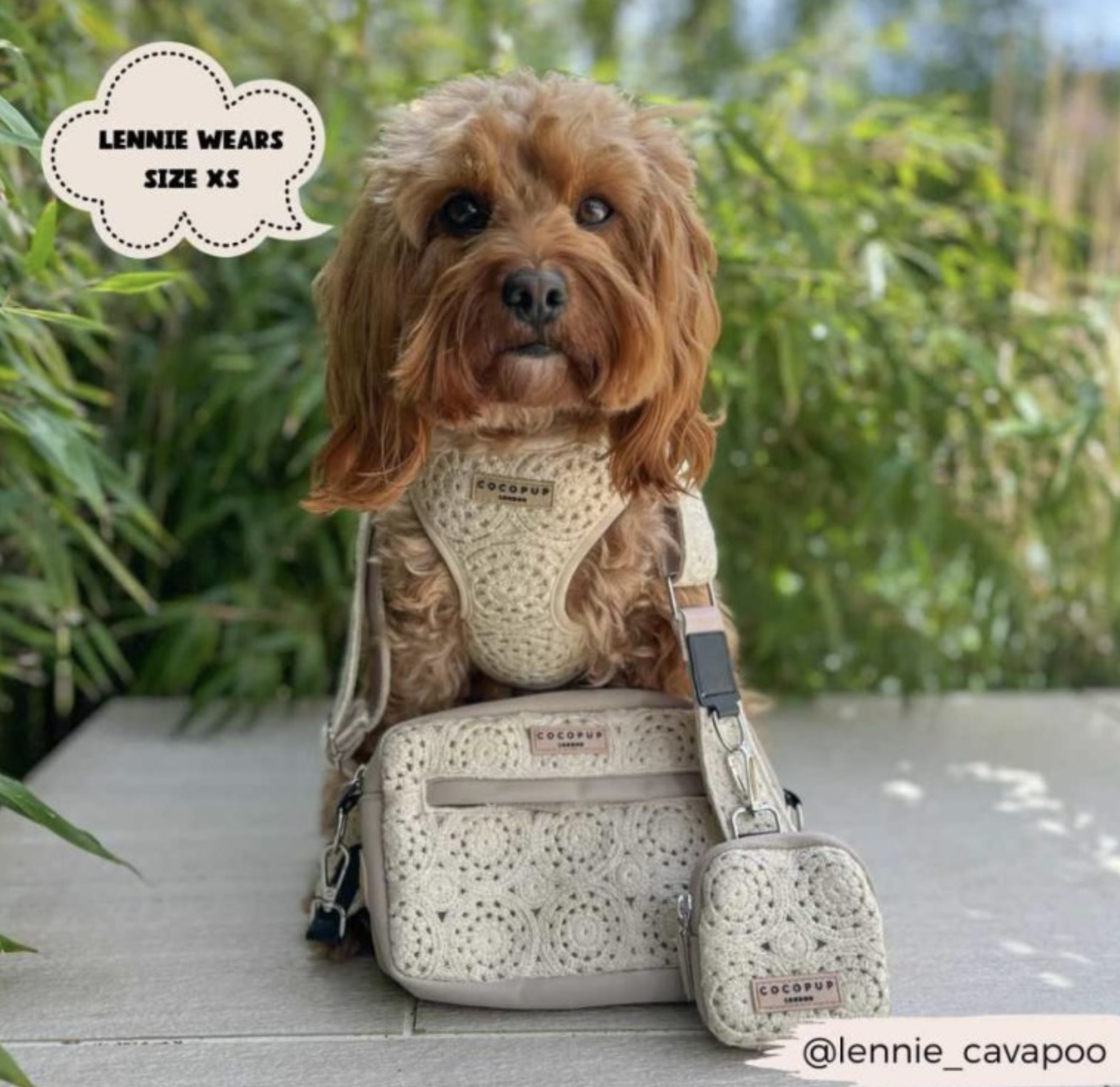 Pamlskovník Cocopup Boho