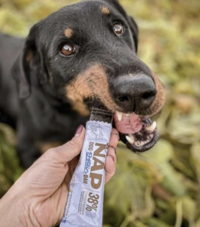 NAP psí proteinová tyčinka - hovězí s levadulí 50g