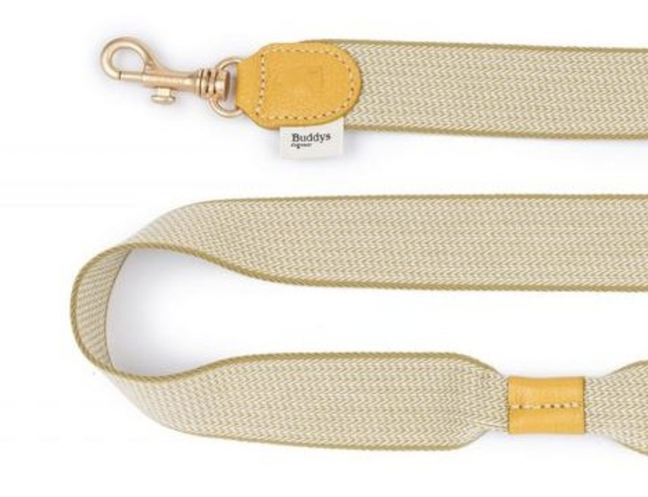 Vodítko pro psy Buddys James béžové