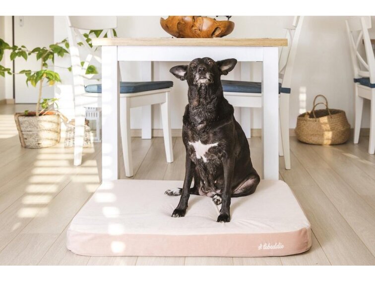 Ortopedická matrace pro psy Lebeddie smetanová