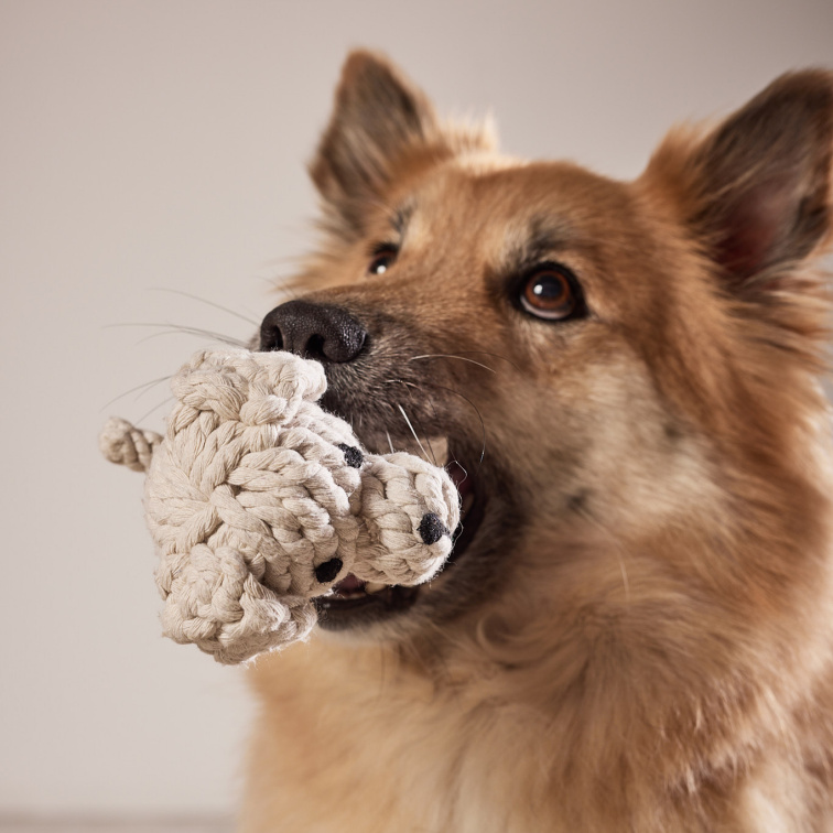 !!!Hračka pro psy LABONI pes Tapsi