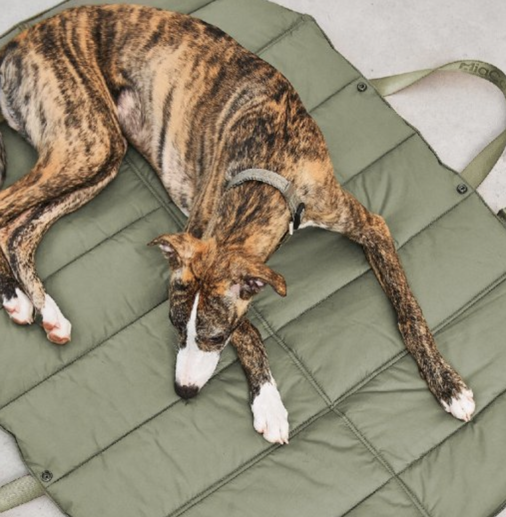 !!!Cestovní deka pro psy MiaCara Strada Olivová