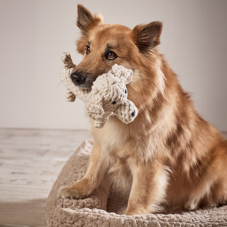 !!!Hračka pro psy LABONI retrívr Richie