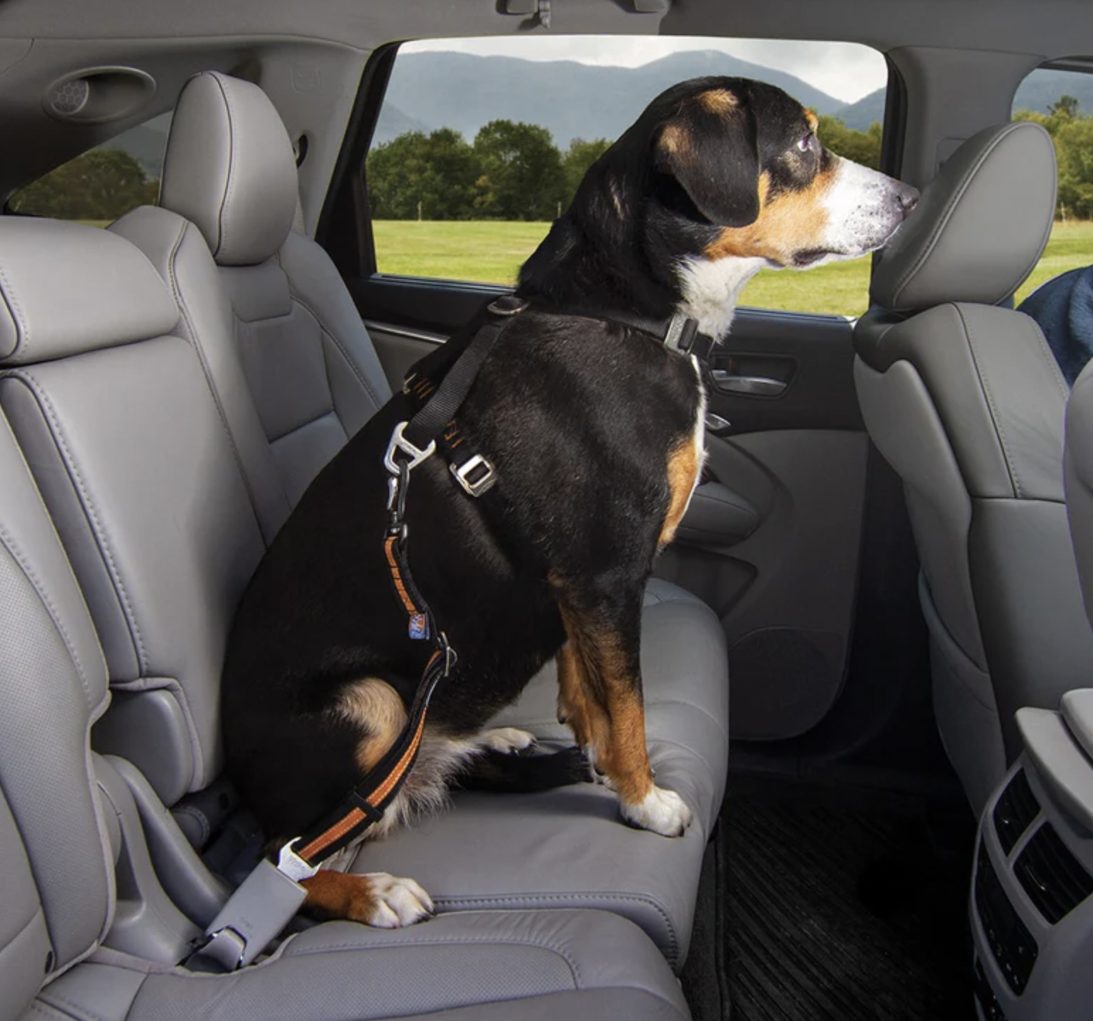 !!!Kurgo Bezpečnostní autopás pro psy s upínacím mechanismem Direct to Seat Belt Swivel Tether oranžový