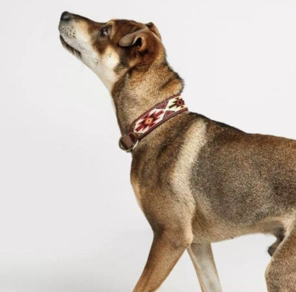 Obojek Buddys Peyote červený