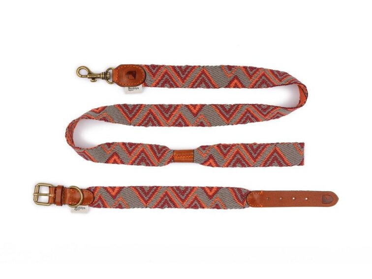 Vodítko pro psy Buddys Peruvian Pikes