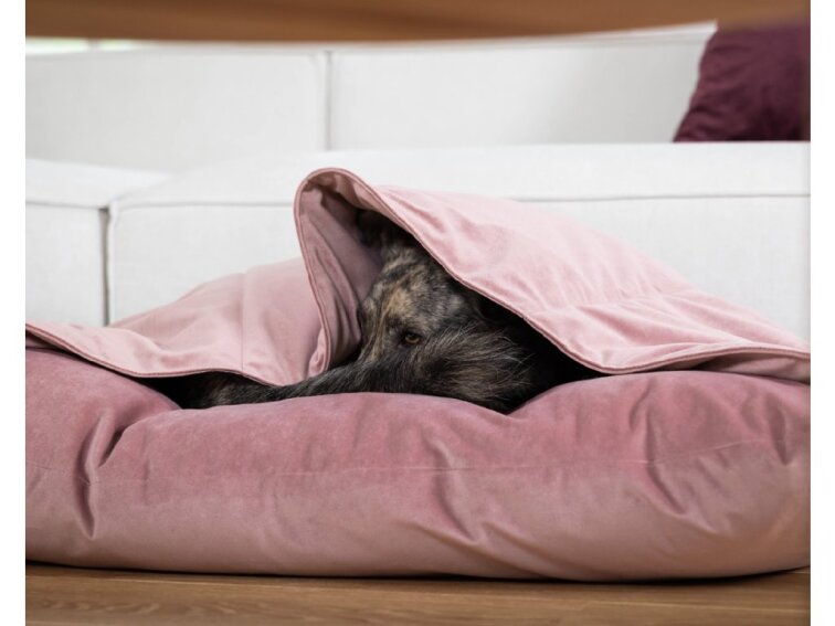 Pelíšek Lebeddie Jeskyně starorůžová