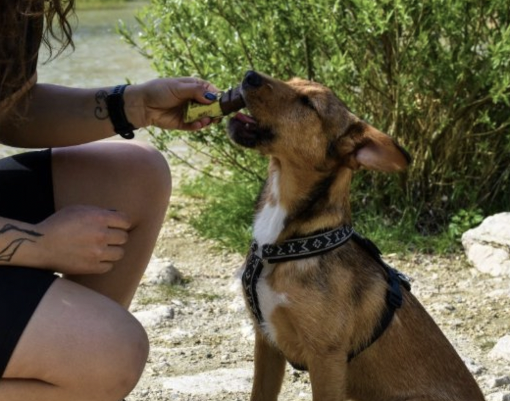 NAP psí proteinová tyčinka - kuřecí 50 g