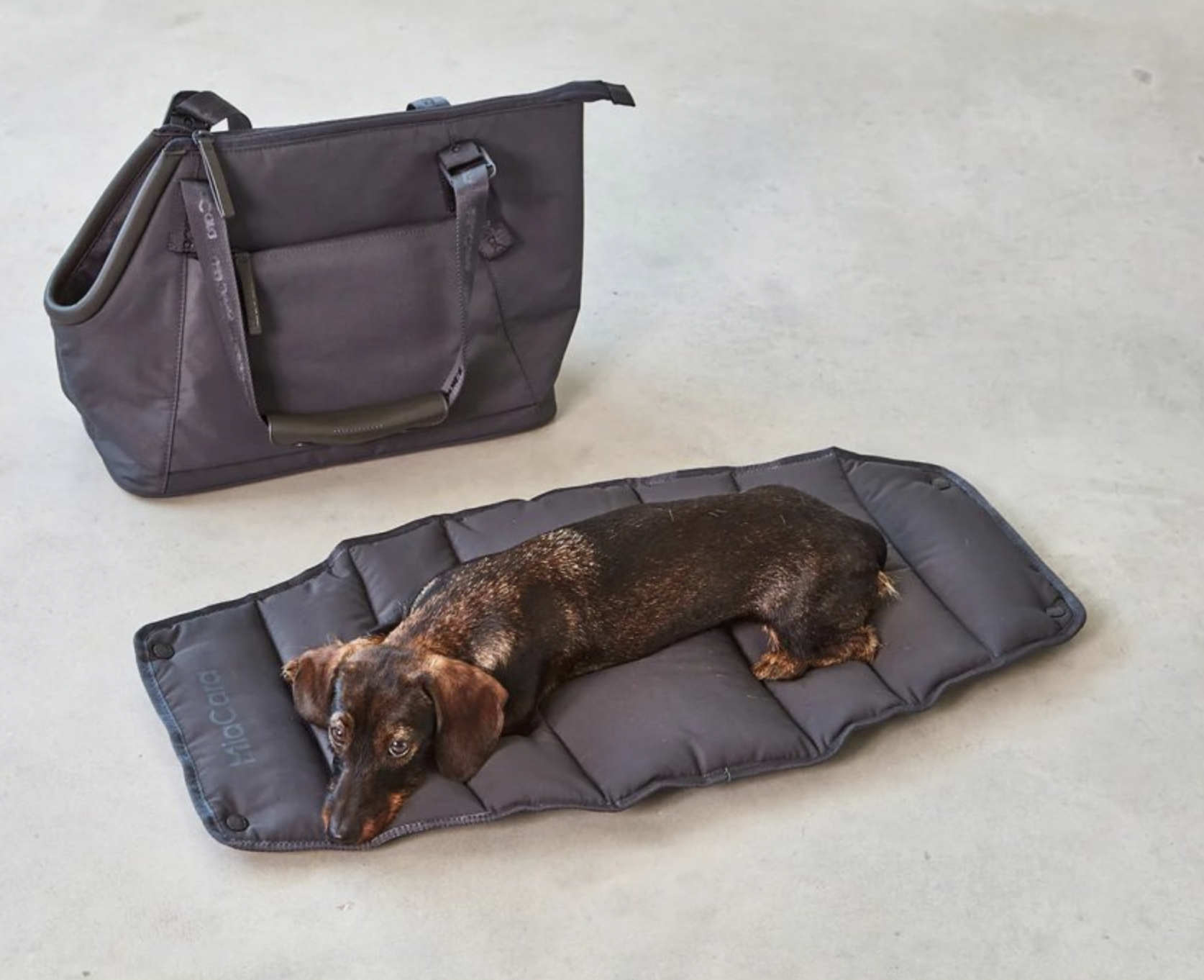 Cestovní taška pro psy MiaCara Sporta antracitová