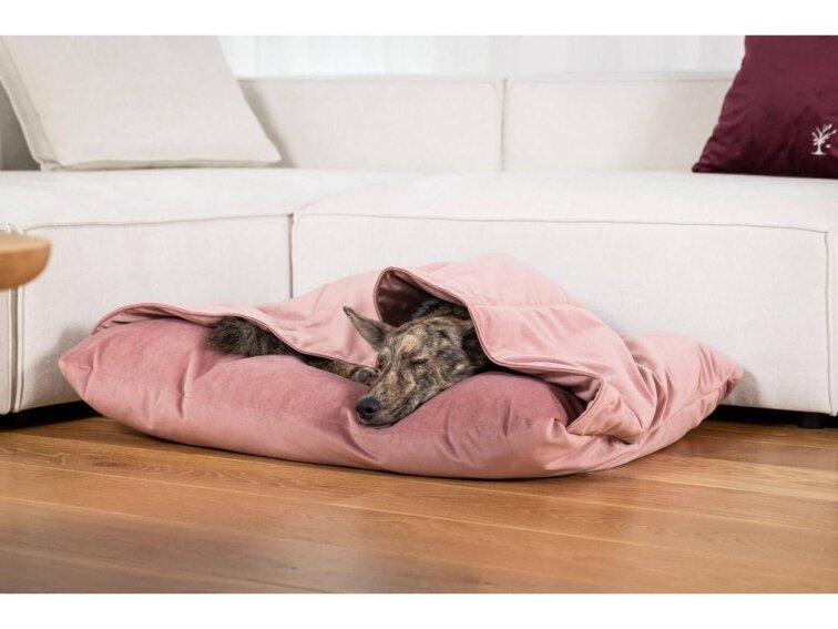 Pelíšek pro psy Lebeddie Jeskyně bez ovčí vlny světlemodrá