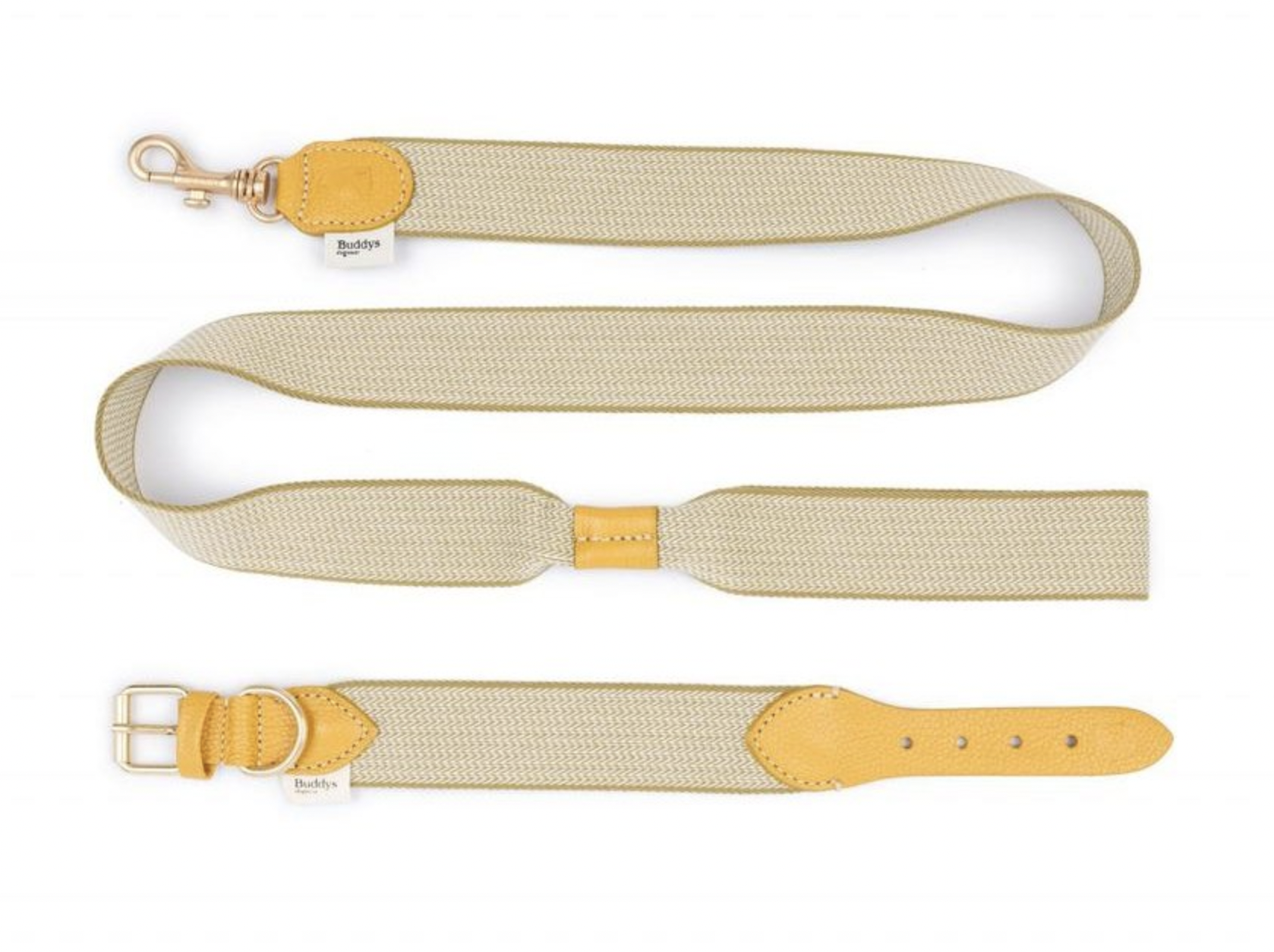 Obojek pro psy Buddys James béžový