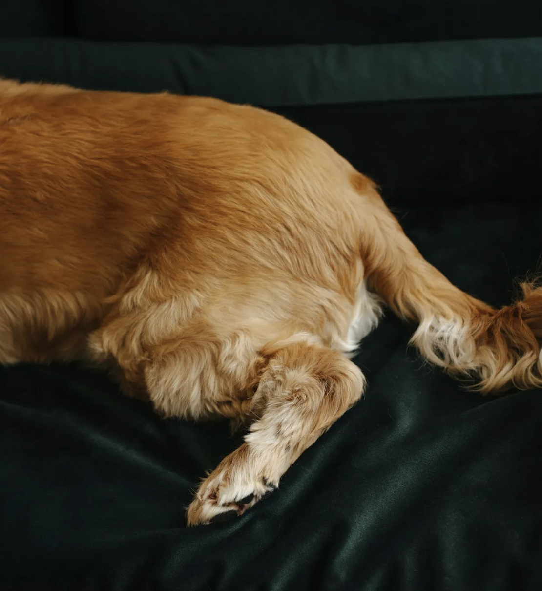 Pelíšek Lebeddie na pohovku Sofedo zelená