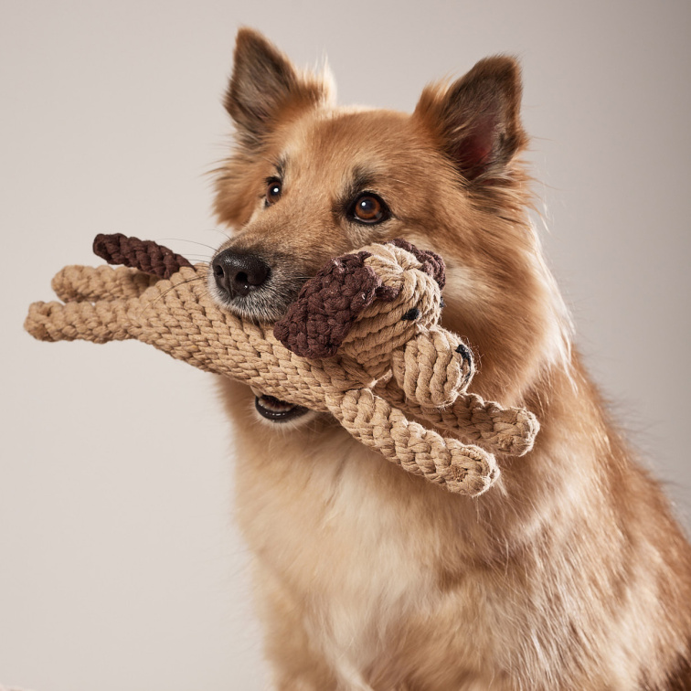 !!!Hračka pro psy LABONI Doggy Dog