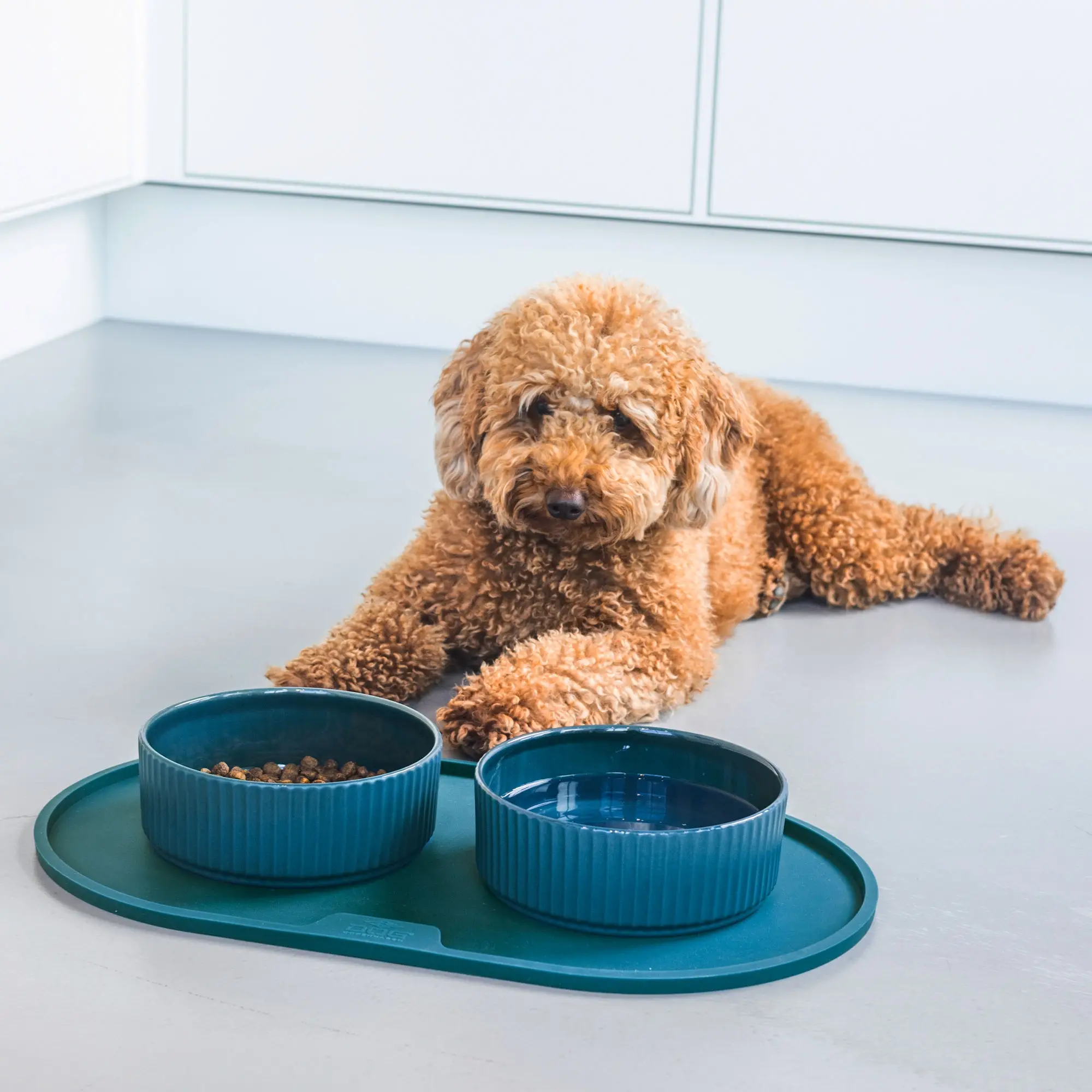 !!!Miska pro psy Kronborg petrolejová S