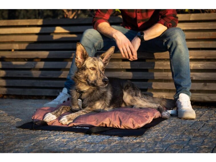 Cestovní pelíšek Lebeddie Mobedo růžová