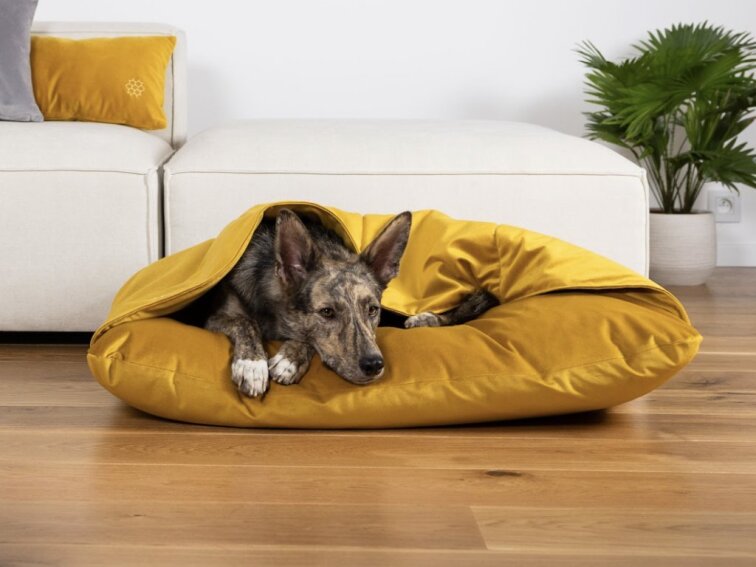 Pelíšek pro psy Lebeddie Jeskyně bez ovčí vlny žlutá