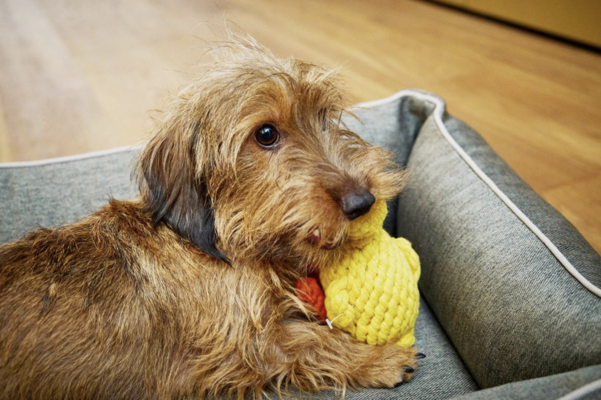 Hračka pro psy LABONI kachnička Emma