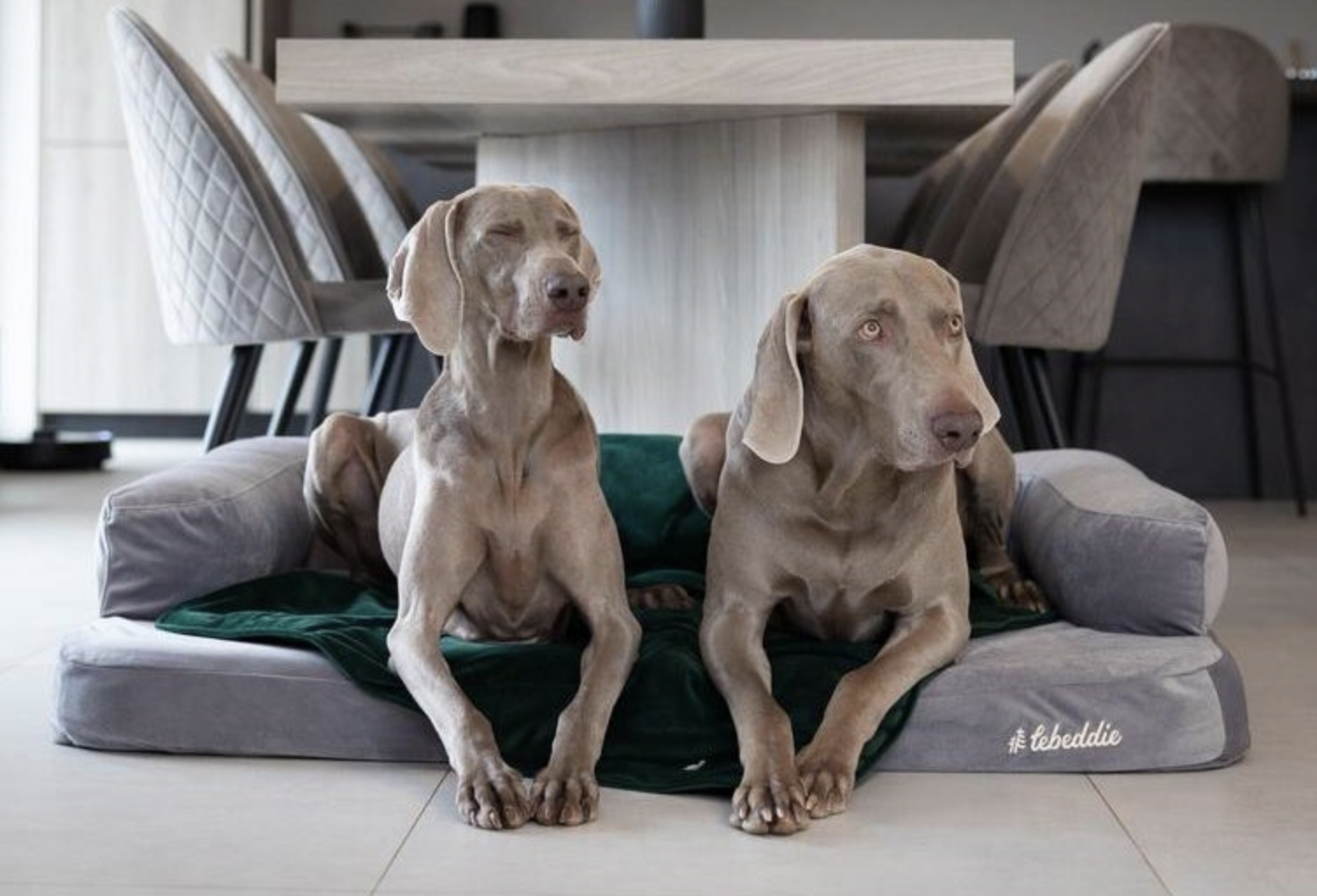 Deka Lebeddie zelená s ovčí vlnou