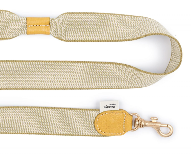 Vodítko pro psy Buddys James béžové