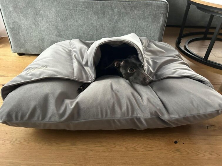 Pelíšek Lebeddie Jeskyně šedá