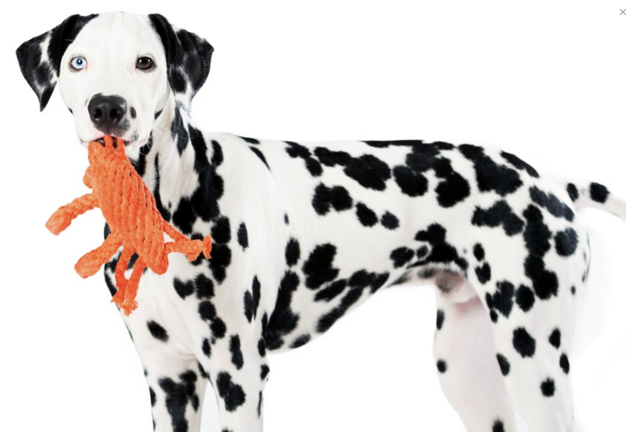 Hračka pro psy LABONI krab Kryštof, oranžový