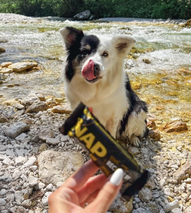 !!!NAP Recovery - psí proteinová tyčinka - hovězí 50 g