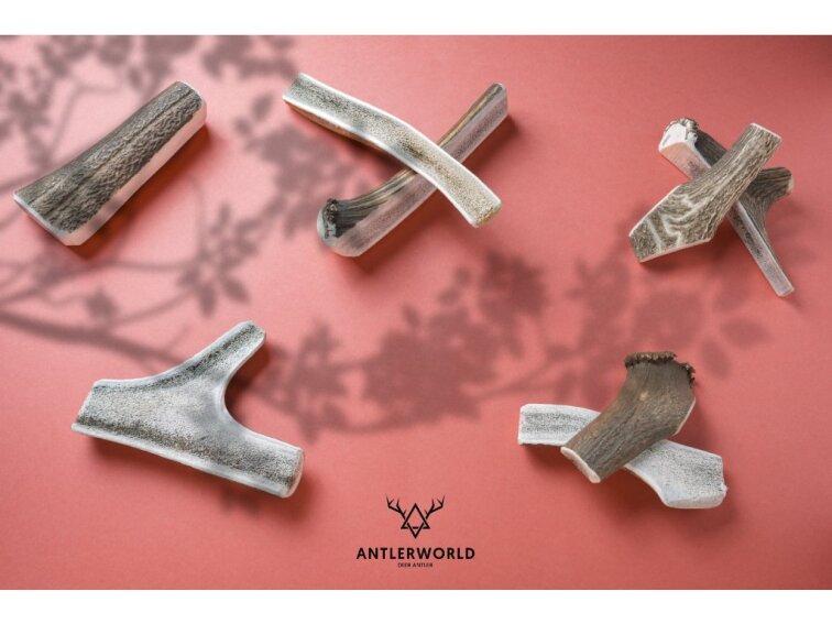 Jelení paroh pro psy půlený