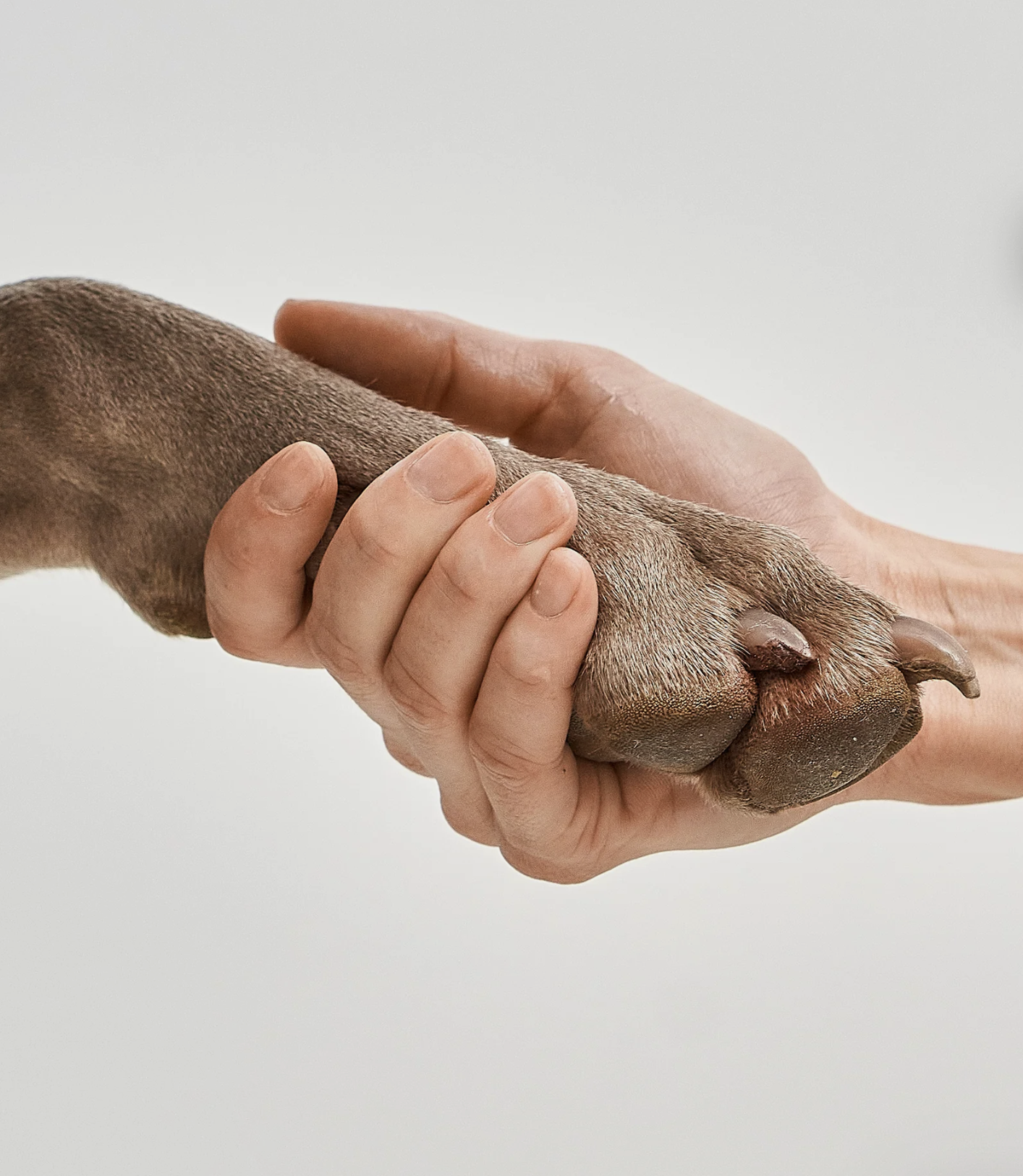 Čistič na tlapky pro psy MiaCara Spuma 200 ml