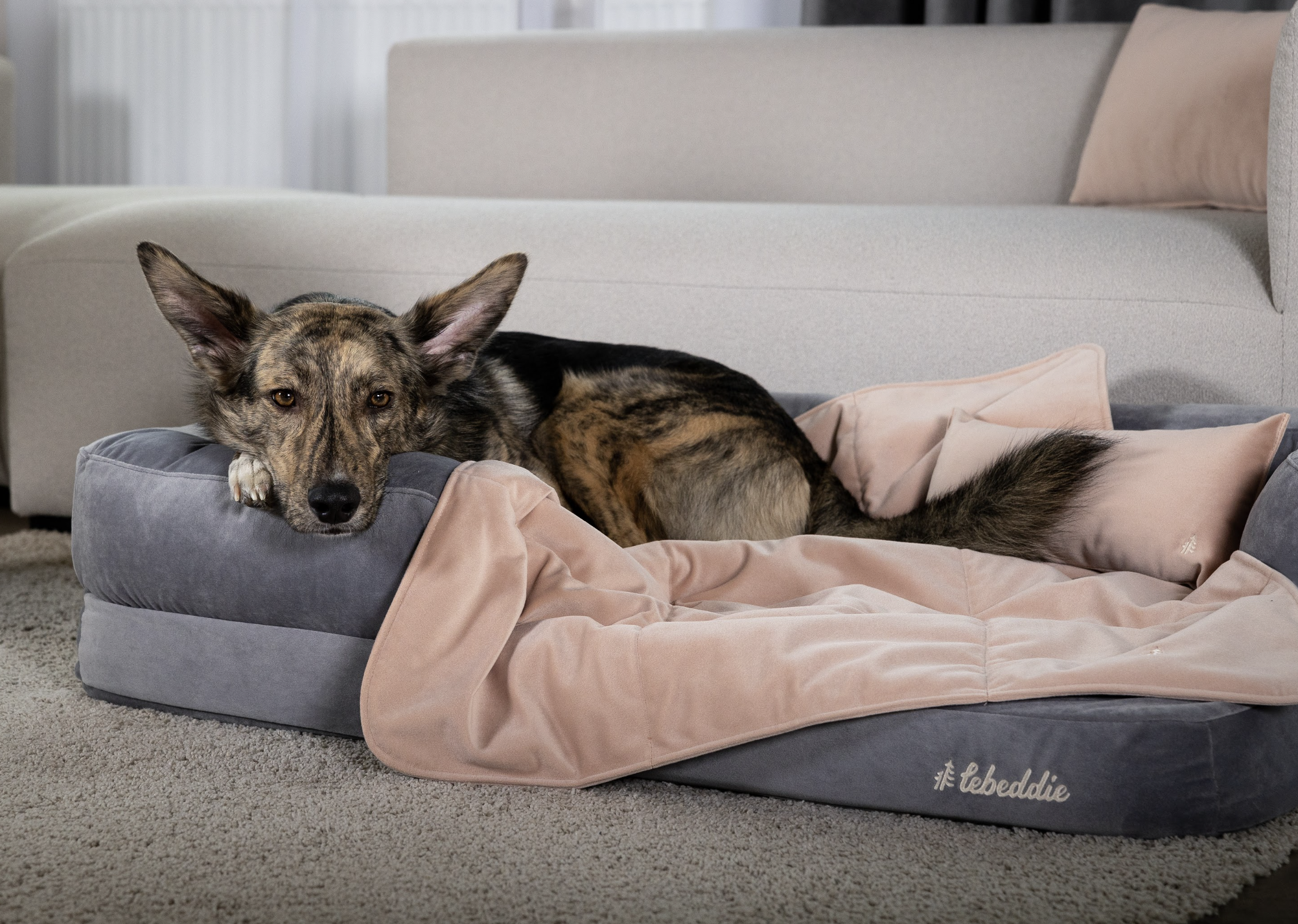 Deka Lebeddie starorůžová s ovčí vlnou