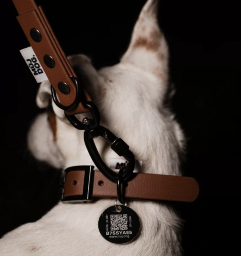 Chytrá psí známka MŮJDOG