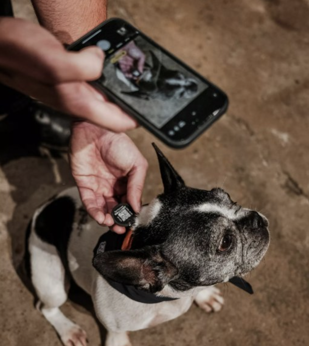 Chytrá psí známka MŮJDOG