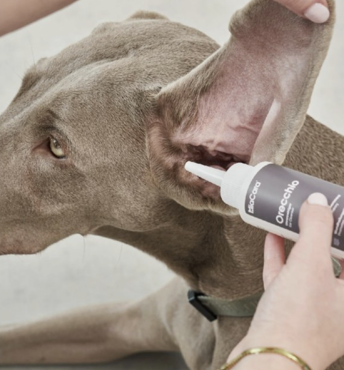 !!!Čistič uší pro psy MiaCara Orecchio 100 ml