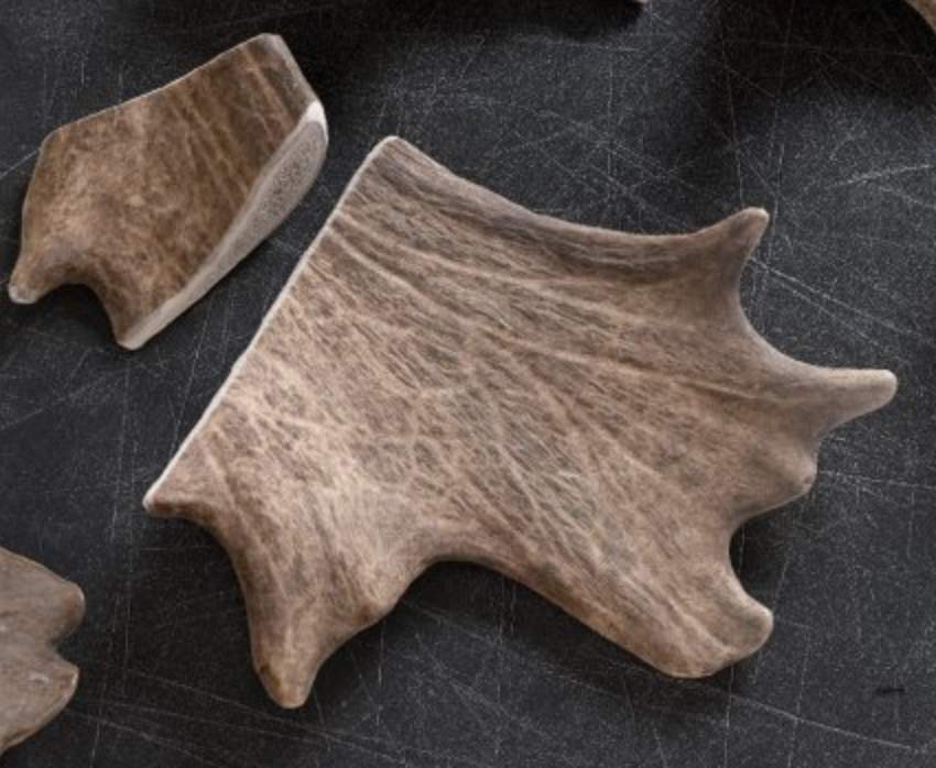 Dančí paroh pro psy