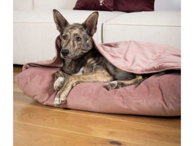 Pelíšek Lebeddie Jeskyně starorůžová