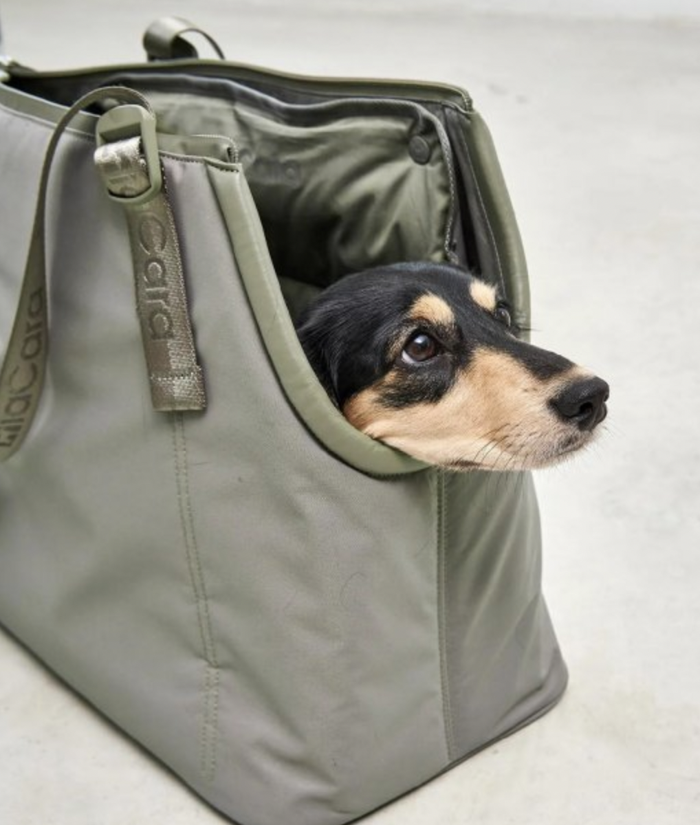 Cestovní taška pro psy MiaCara Sporta olivová
