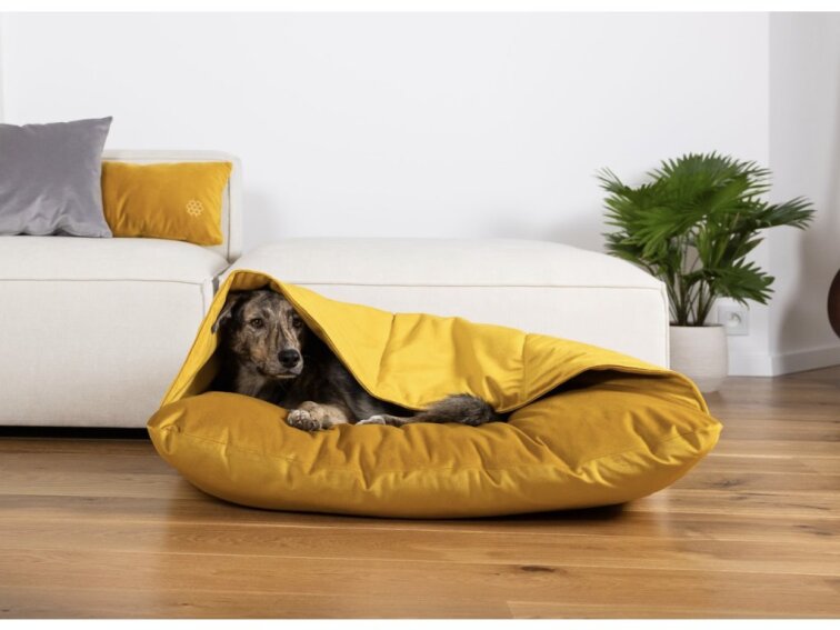 Pelíšek Lebeddie Jeskyně žlutá