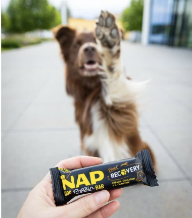 !!!NAP Recovery - psí proteinová tyčinka - hovězí 50 g