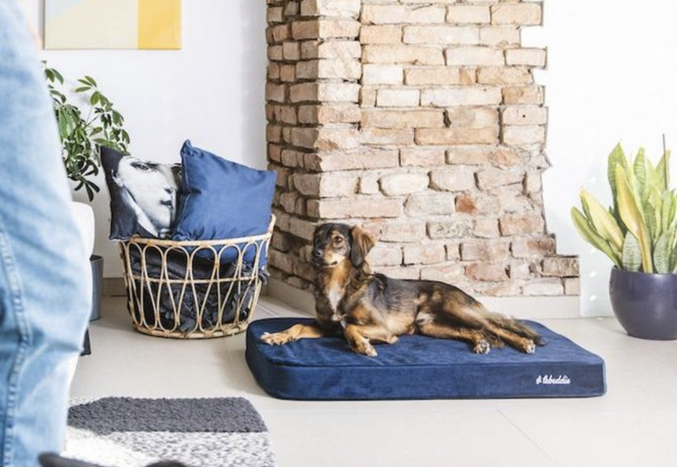 Ortopedická matrace pro psy Lebeddie hnědá