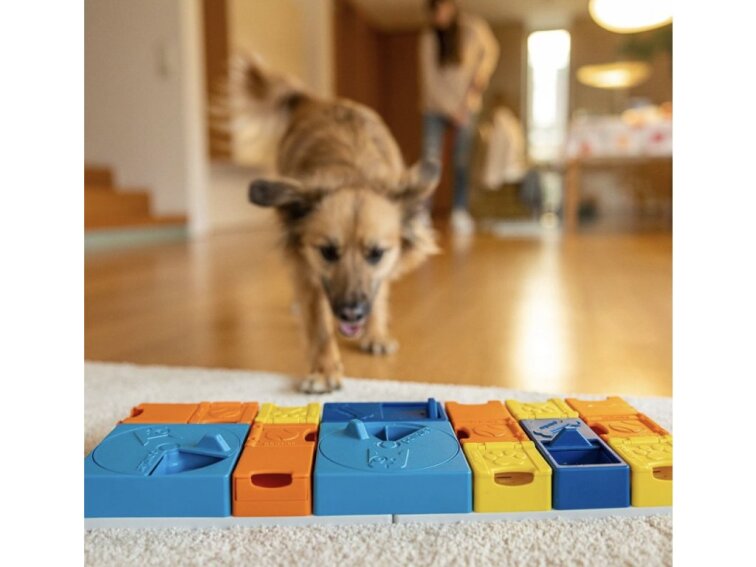 !!!Pawzler Hlavolam pro psy Rainbow set