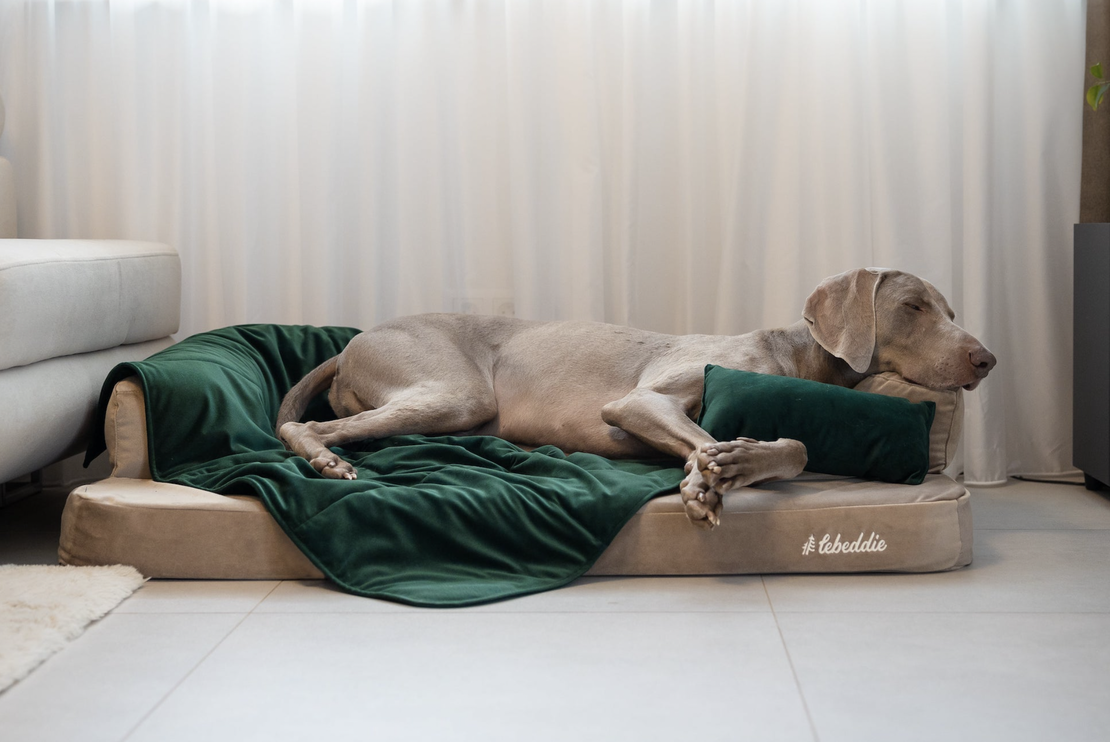 Deka Lebeddie zelená s ovčí vlnou