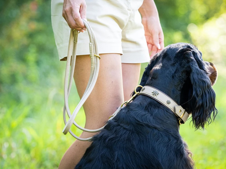 Kožené vodítko kulaté světle béžová/zlaté kování