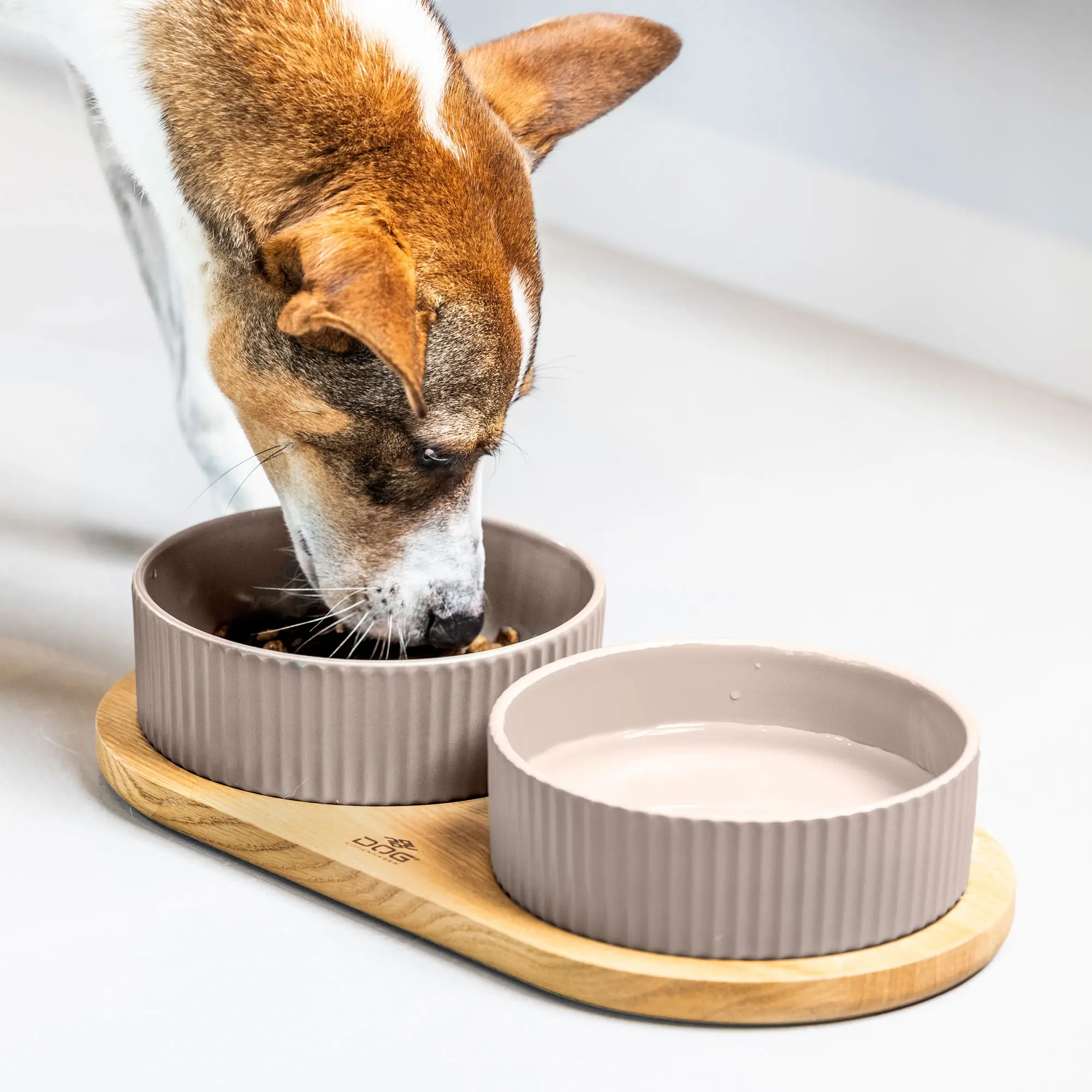 !!!Set misek pro psy Kronborg Caffe Latte