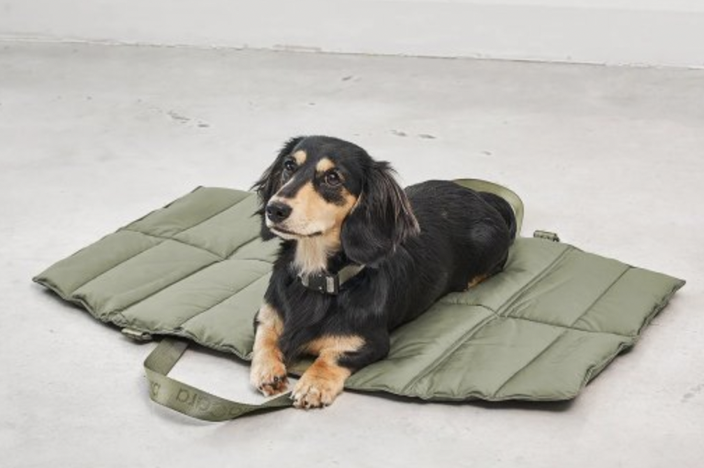 !!!Cestovní deka pro psy MiaCara Strada Olivová