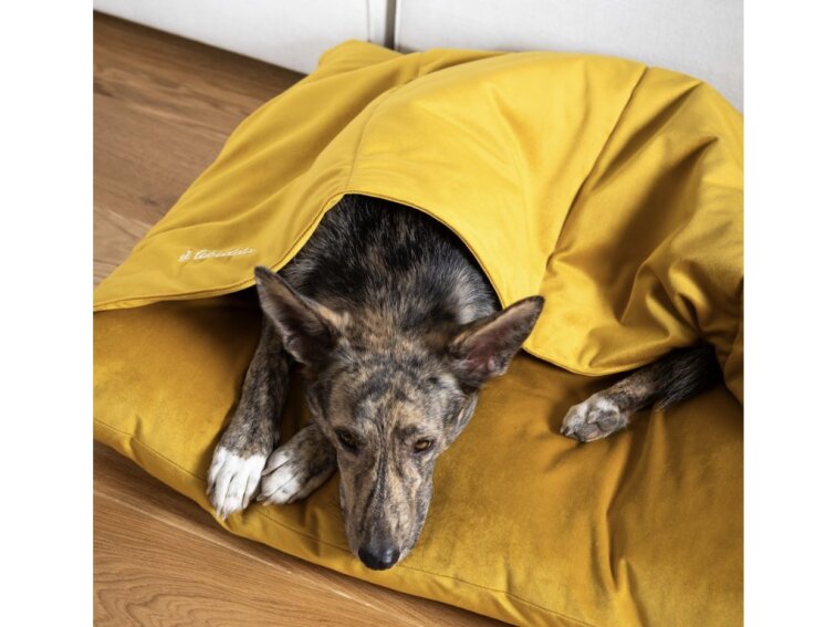 Pelíšek Lebeddie Jeskyně žlutá