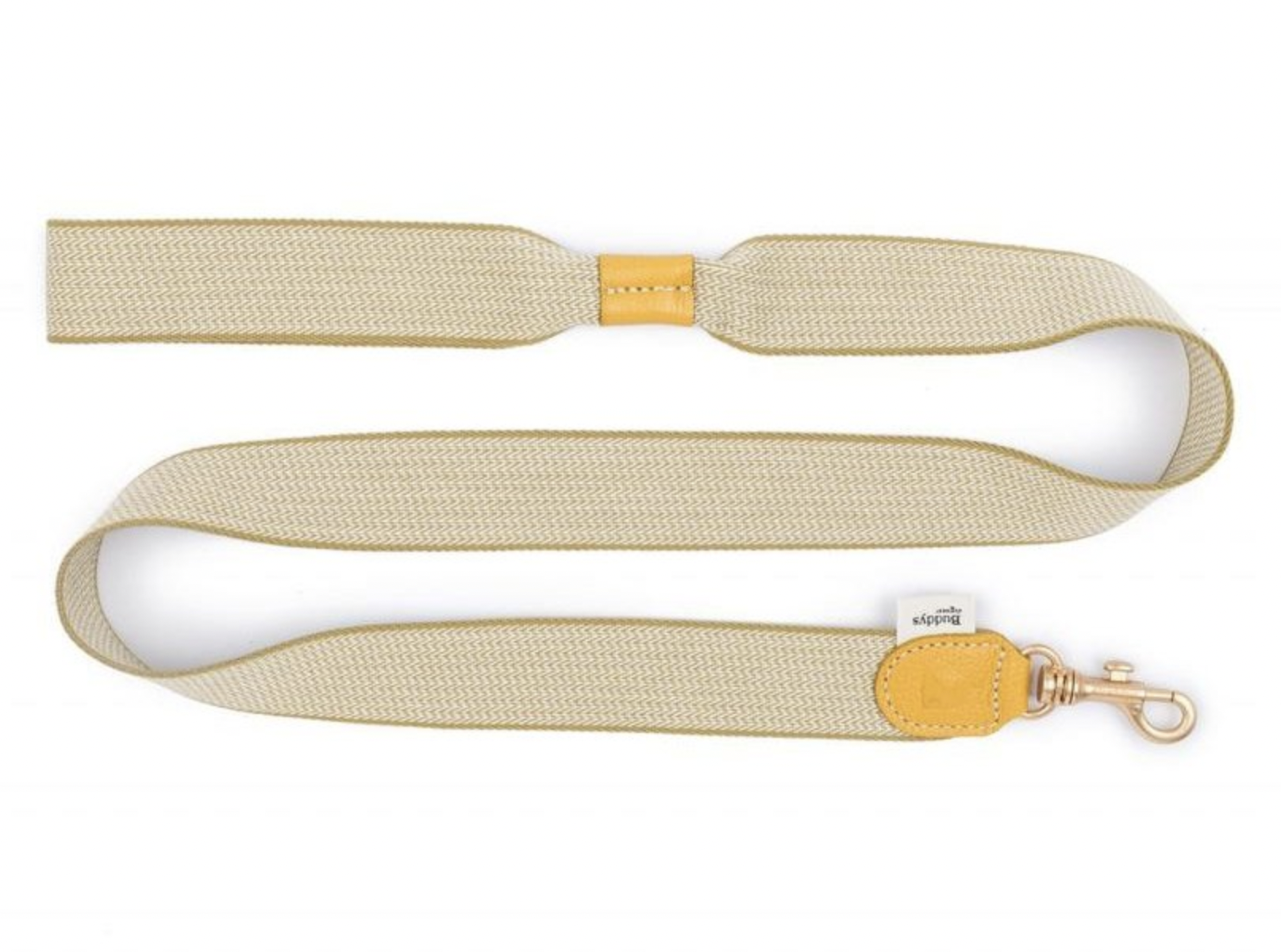 Vodítko pro psy Buddys James béžové