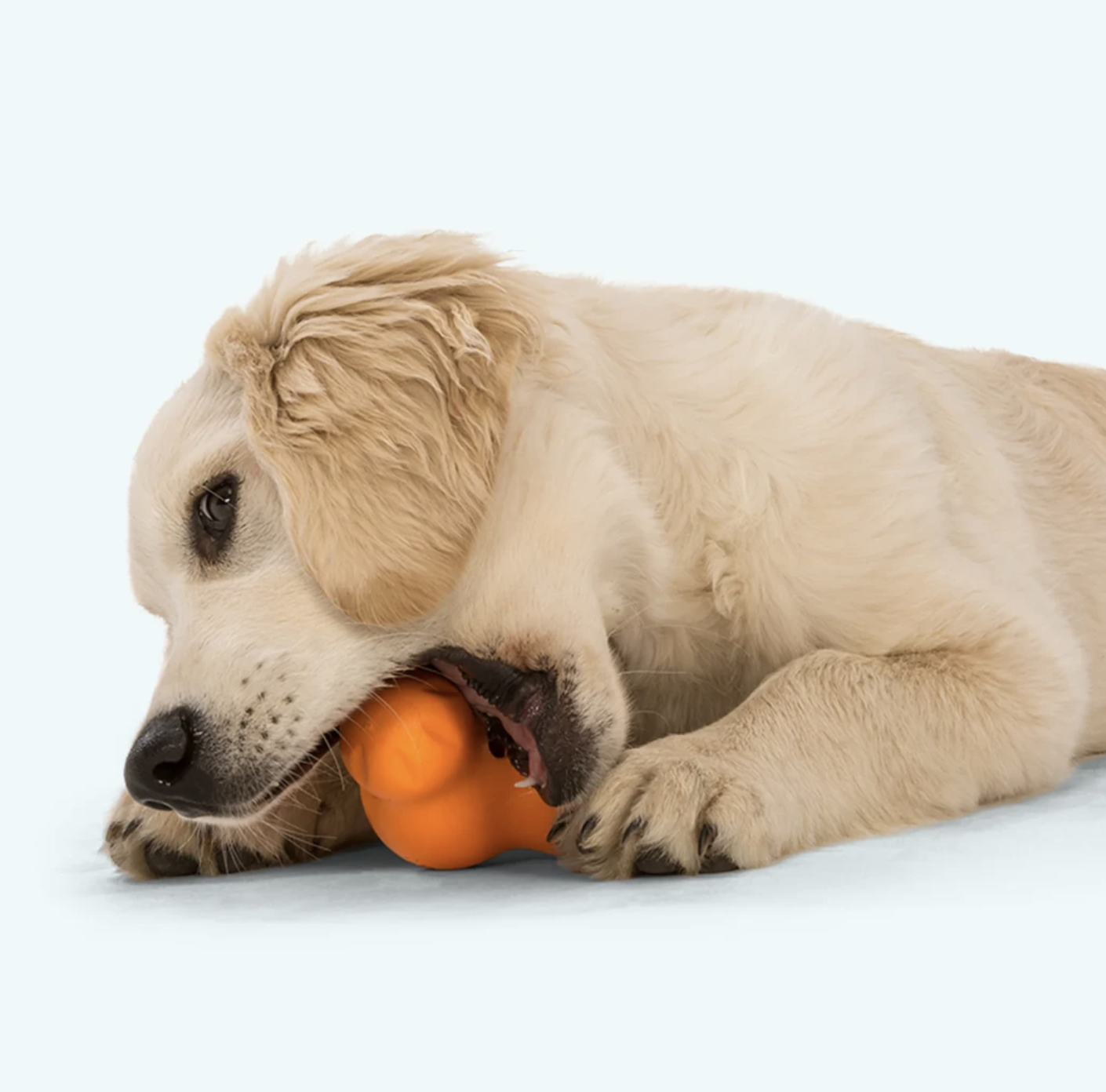 !!!West Paw hračka pro psy Tux Tangerine