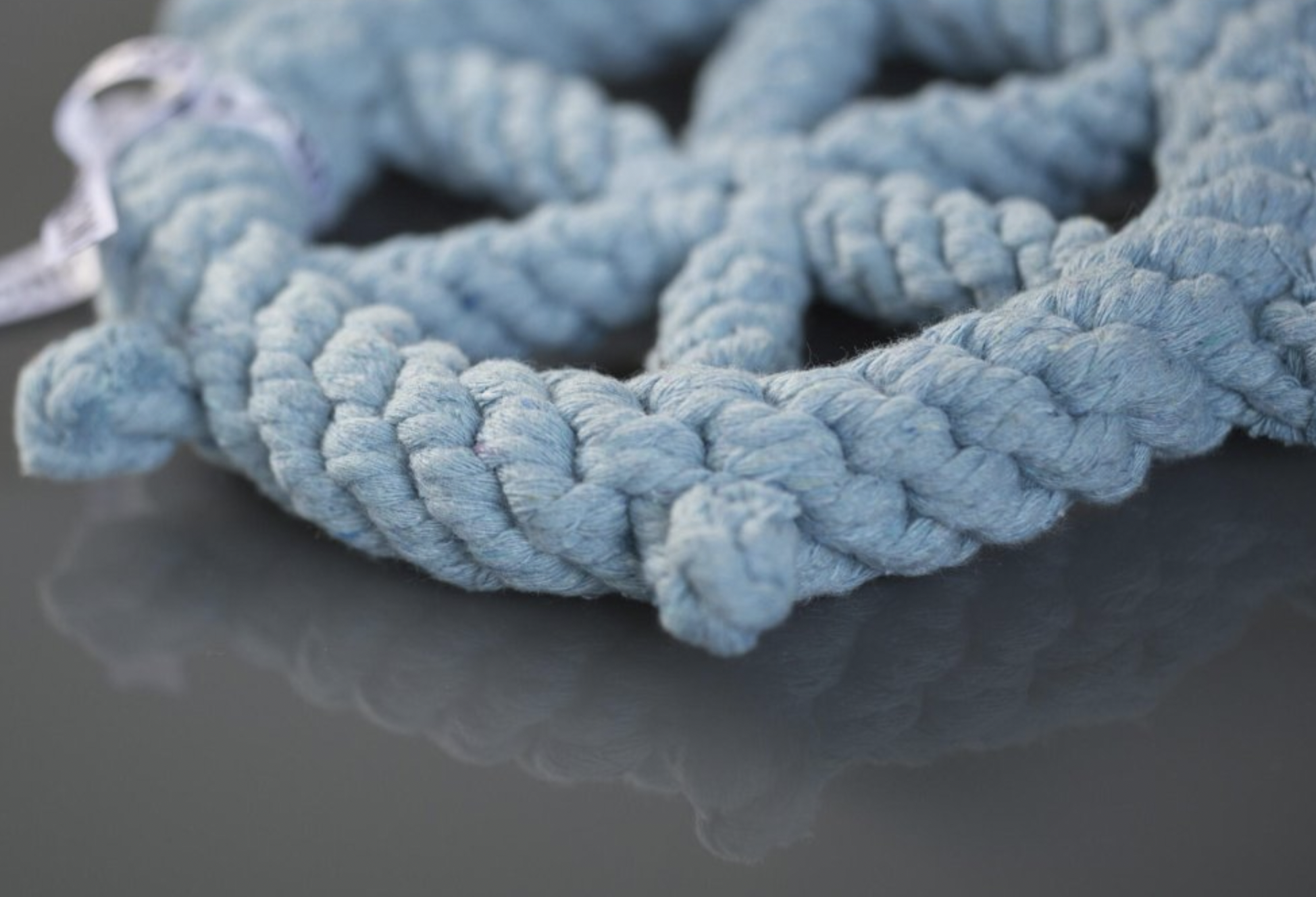 Hračka pro psí kapitány LABONI