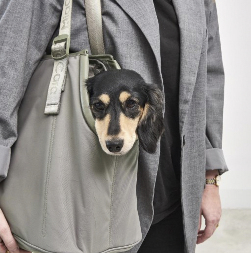 Cestovní taška pro psy MiaCara Sporta olivová